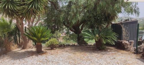 Viñuela Casa | Casa Elena