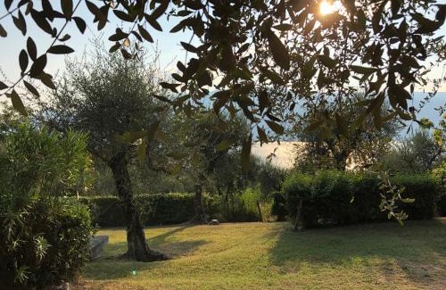 Villavetro Casa | Casa Elisa