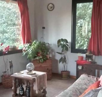 San Martín de los Andes Chalet De Esquí | casa en la montaña kaleuche