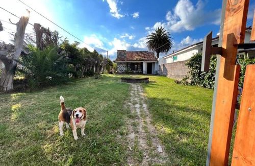 Piriapolis Casa | Casa en Piriapolis
