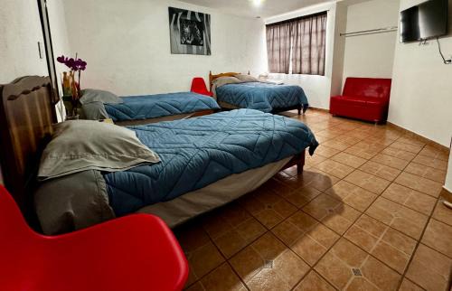 Ciudad Hidalgo Casa | CASA ENTERA PURA VIDA!