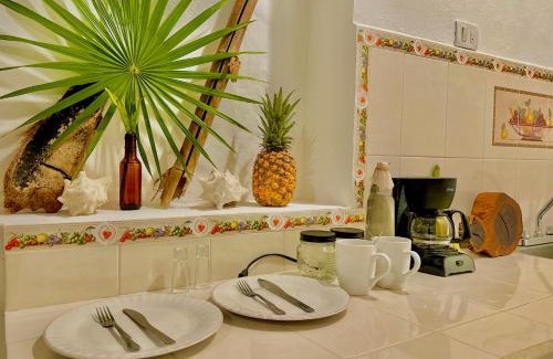 Majahual Casa | Casa Erizo Mahahual - Adults Only