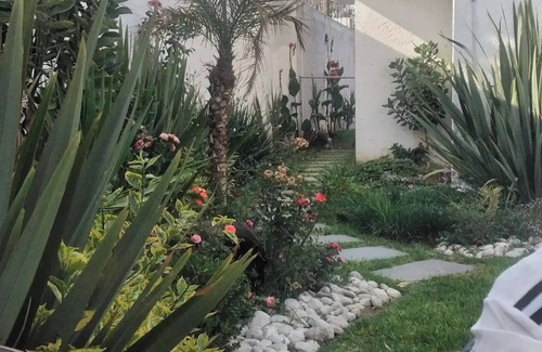 Cholula Casa | Casa espléndida para descanso