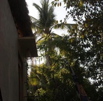 Santa María Colotepec Apartamento | Casa Euskondido