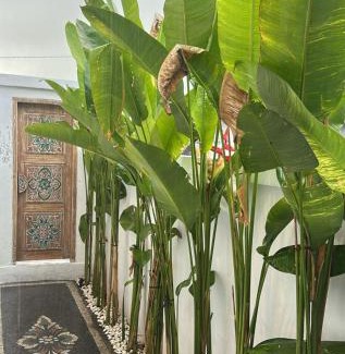 Bangli Casa | Casa Feliz Guest House