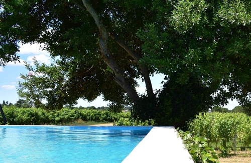 Palmela Casa | Casa Fernão Pires