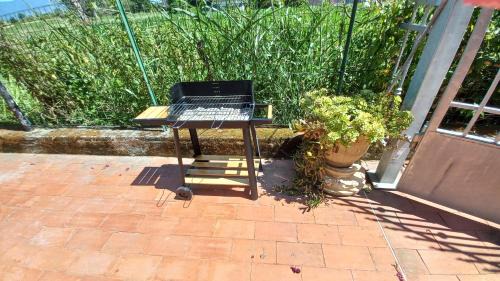 Ameglia Apartamento | Casa Fiorita