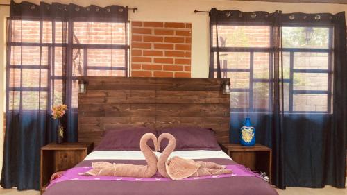 Santa Lucía Casa | Casa Flor de Vida