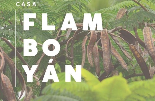 Los Llanos de Aridane Apartamento | Casa Flamboyán