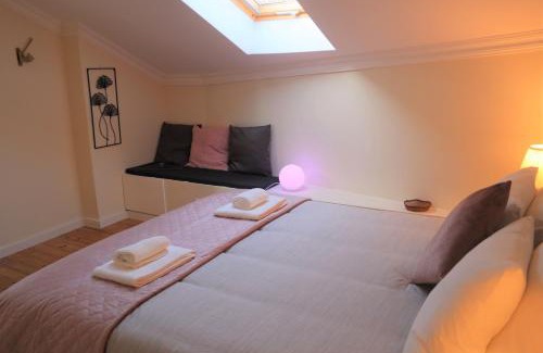 Tomar Apartamento | Casa Flor do Camarão - Centro Histórico de Tomar