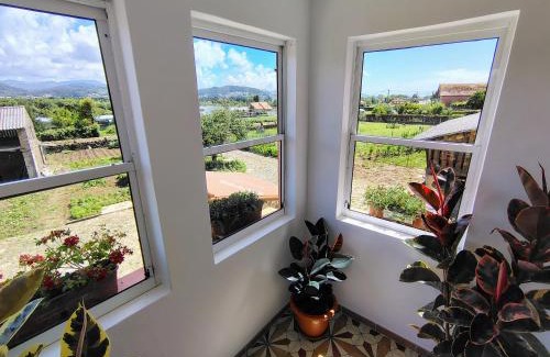 Tabagon Casa | Casa Folhas Novas