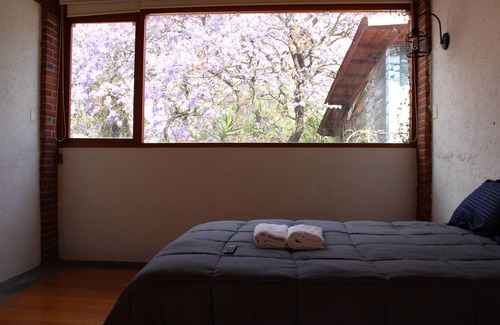 Coyoacán Cama Y Desayuno | Casa Frida Coyoacan
