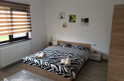 Toplita Casa | Casa Gabriela