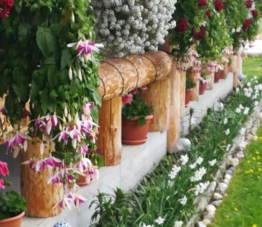 Marisel Casa | Casa Gemenelor