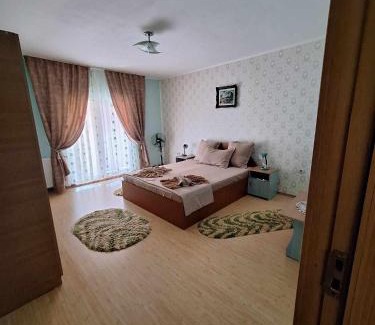 Baile Herculane Cabina | Casa Geo & Oana