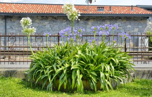 Santa Maria - Rezzonico Apartamento | Casa Giardino fiorito