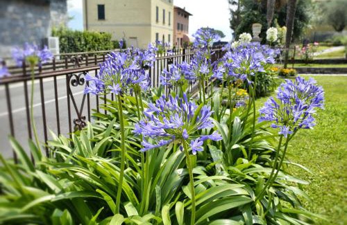 Santa Maria - Rezzonico Apartamento | Casa Giardino fiorito