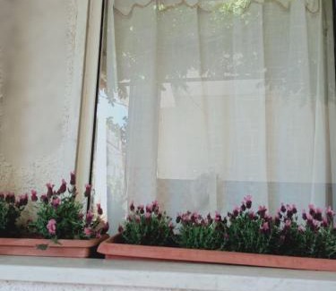 Minturno Casa | casa giardino