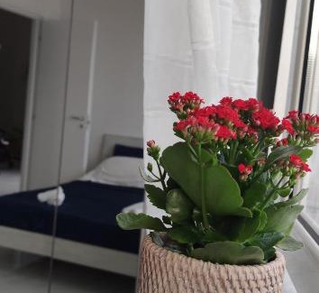 Licola Apartamento | Casa Gimaga