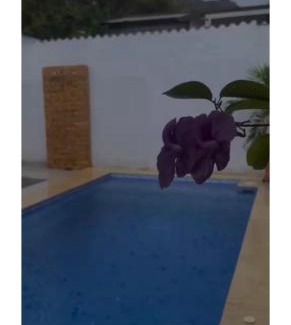 Honda Casa | Casa Ginebra