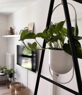 Cognola Apartamento | Casa Giona