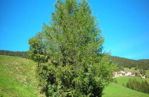 Mareo Apartamento | Casa Gogn