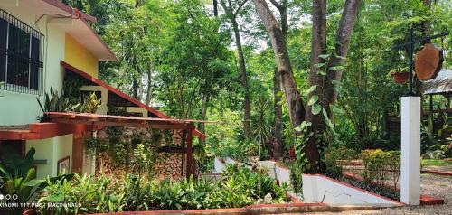 Palenque Casa | Casa Hadassa La Cañada