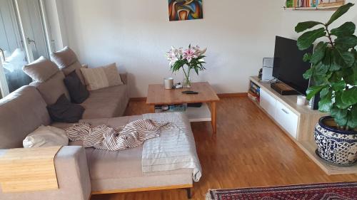 Kloten Apartamento | Casa Hame