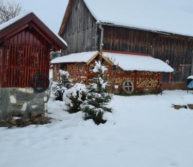 Dragus Casa | Casa Hariton