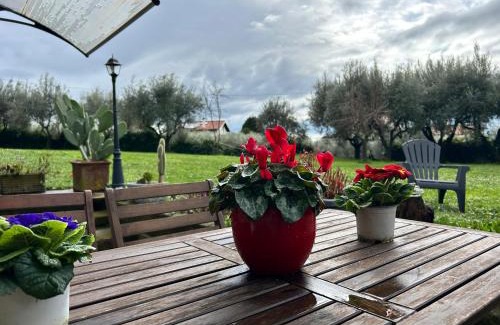 Velletri Apartamento | Casa Holly