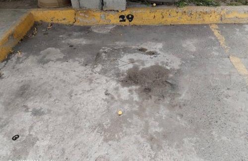 Querétaro Apartamento | Casa Hortensia