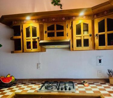 Manzanillo Casa | Casa Iguanas