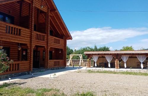 Rozavlea Casa | Casa Ilies