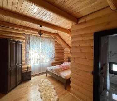 Rozavlea Casa | Casa Ilies