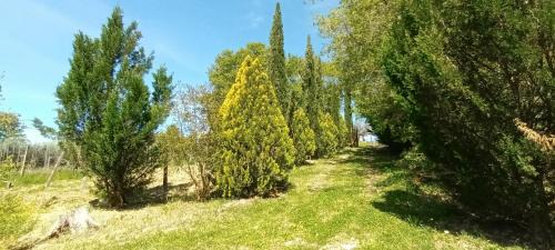 Poderi Apartamento | Casa in Maremma