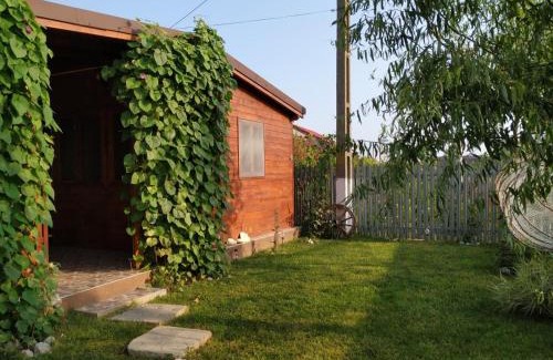Sfantu Gheorghe Casa | Casa Ina