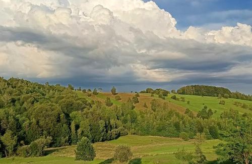 Intorsura Buzaului Casa | Casa Ioana Întorsura Buzăului