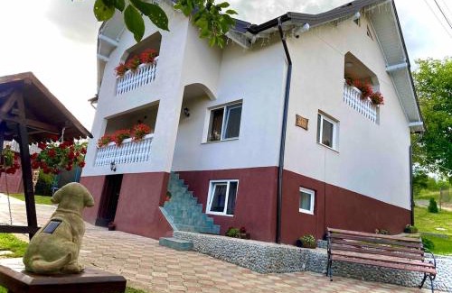 Moisei Casa | Casa Ioana Moisei