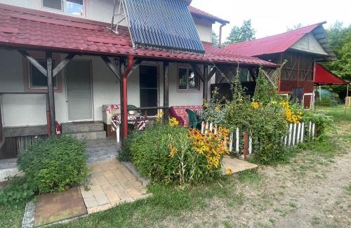 Oestii Paminteni Casa | Casa Ioana