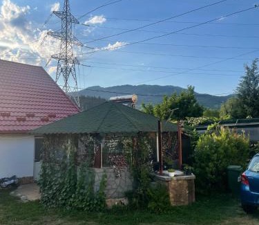 Oestii Paminteni Casa | Casa Ioana