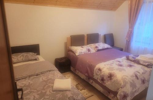 Rausor Casa | Casa Ione