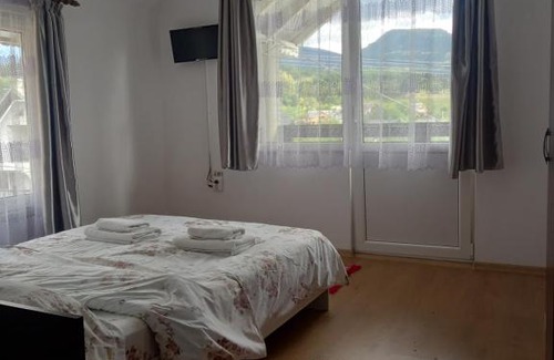 Moisei Casa | Casa Ionut