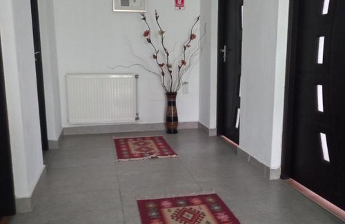 Moisei Casa | Casa Ionut