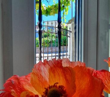 Koper Cama Y Desayuno | Casa Isabella B&B