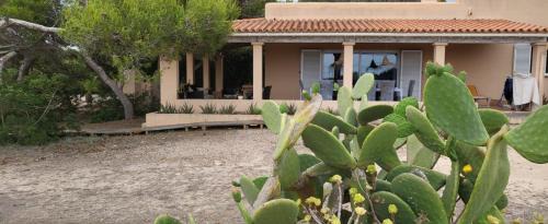Calo de Sant Agusti Villa | Casa Italia Vivienda Turistica ET6132
