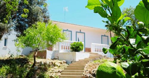 Poco do Mouro Casa | Casa Jacaranda Peace and Sunshine