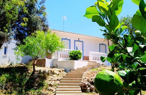 Poco do Mouro Casa | Casa Jacaranda Peace and Sunshine
