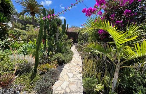 Tajuya Casa | Casa Jardín Tropical
