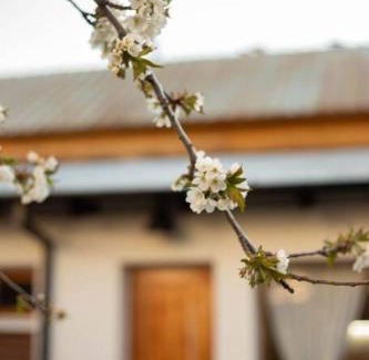 Esquel Casa | Casa Jardin Adesmia