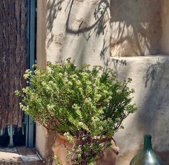 Canyelles Casa | Casa Jasmin at Masia Nur Sitges, Adults only